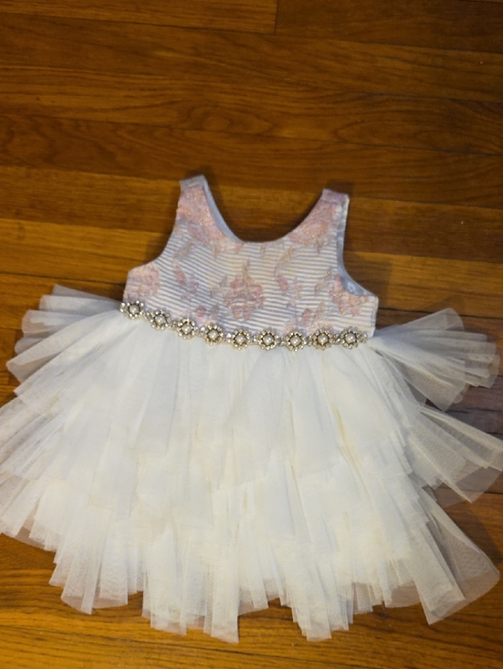 American Princess Other - American Princess White and Light Pink Tulle Floral Bodice Party Dress Size 18m